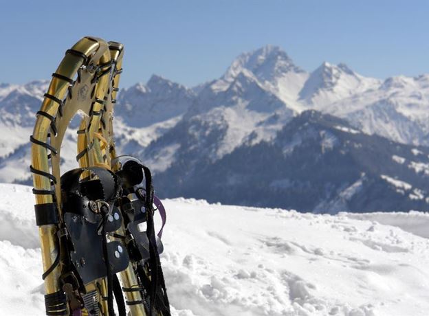 BERGaktiv snowshoe hike in the core zone Lutz