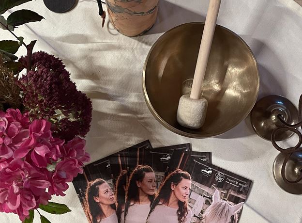 Meeting with the Horses